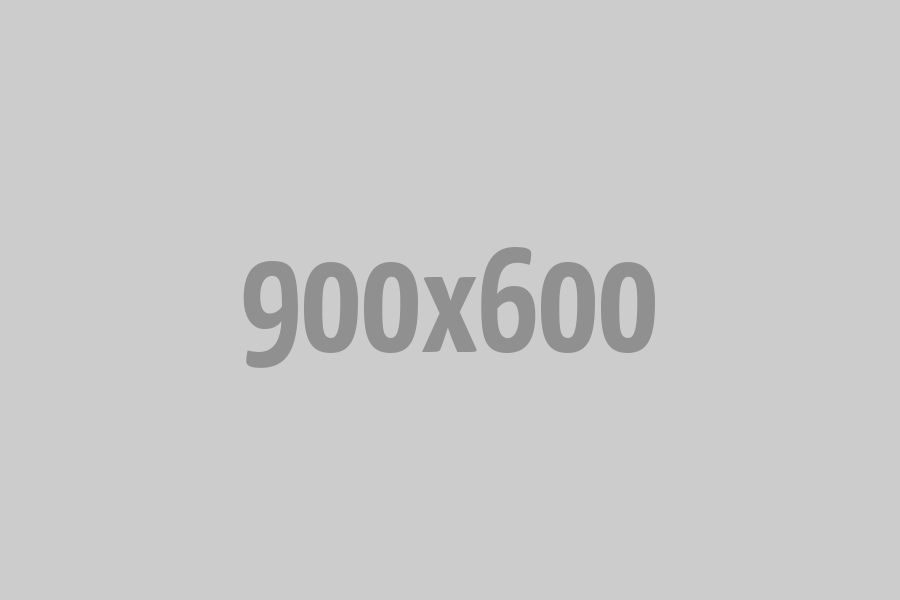 image-from-rawpixel-id-413274